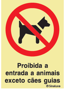Sinalização "Sinalização "Proibida entrada a animais excepto cães guia"